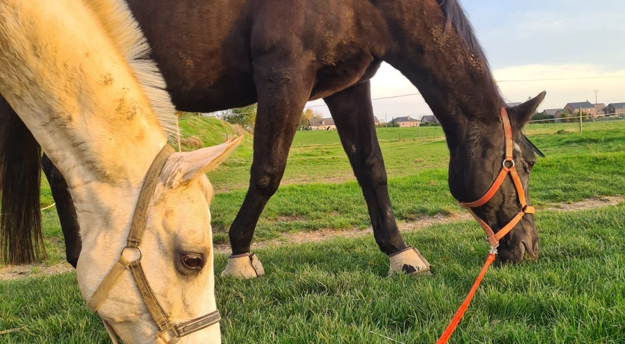 8419242f-5821-4140-845d-da6c24a6ddbd