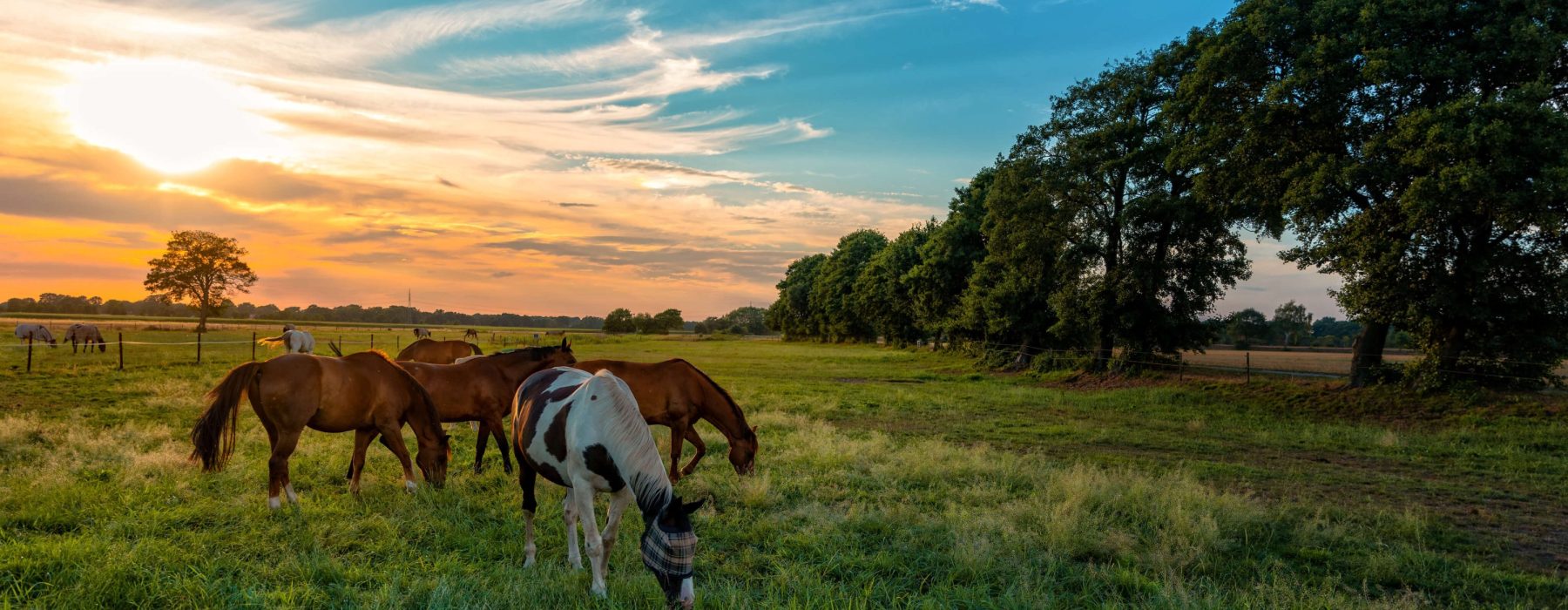 AdobeStock_223982444