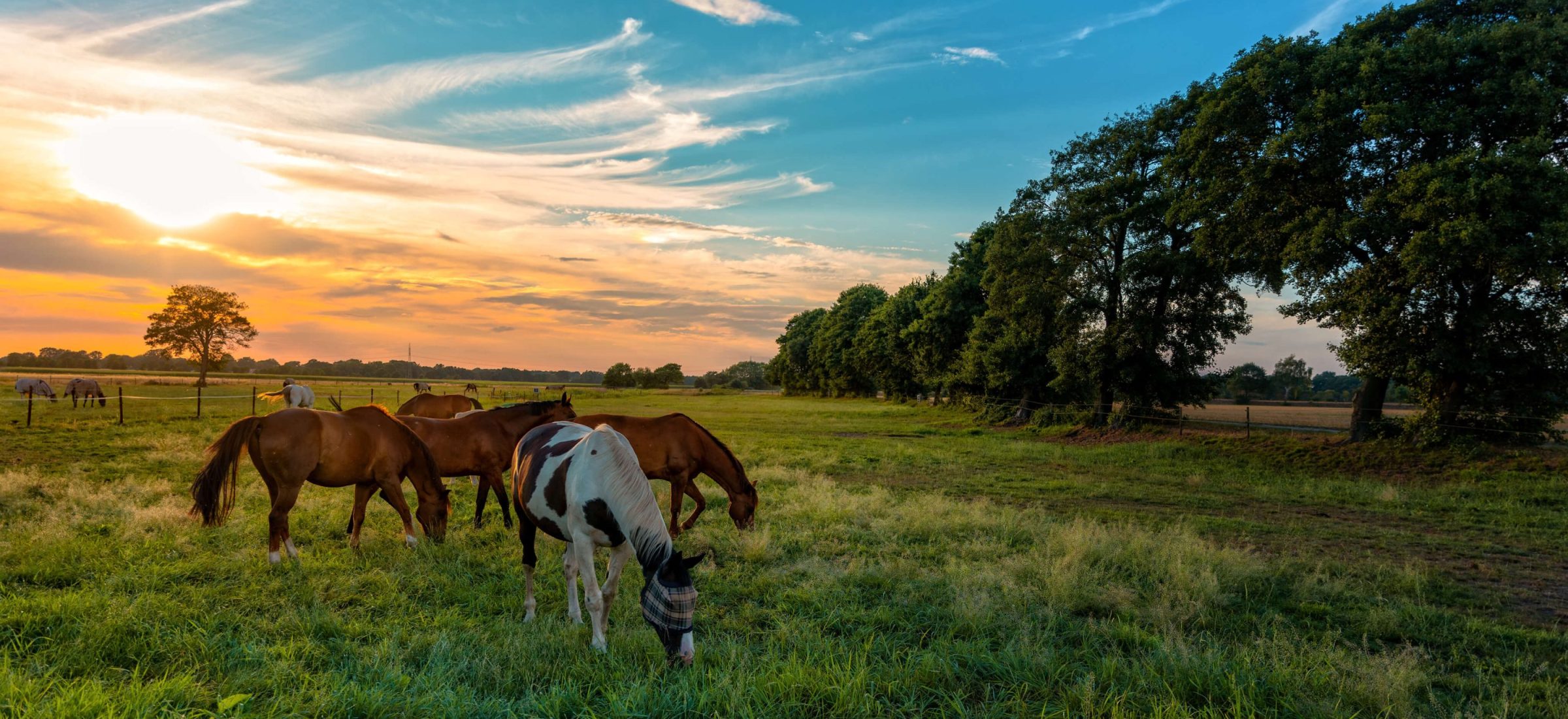 AdobeStock_223982444