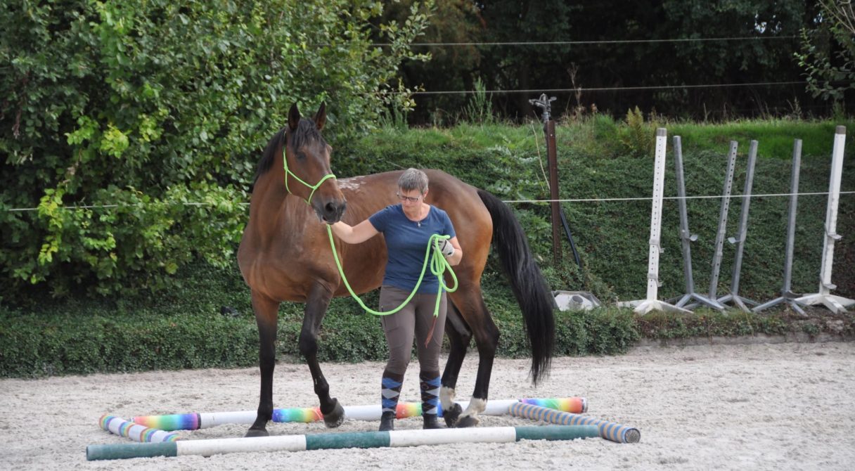 e4c677db-3a52-4f01-b379-ee132f3223c8